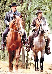 Sinemanın rekor yılı