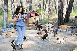 300 Kopegiyle Aclik Grevinde Hayatin Icinden Haberleri