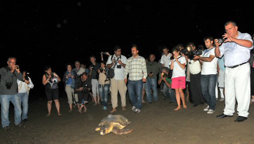 Caretta-Caretta’ya uydudan takip