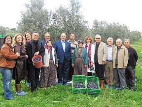 Ege Orman Vakfı’ndan 5. zeytin hasadı