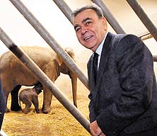 Türkiye’nin ilk fil doğumu İzmir’de gerçekleşti