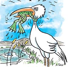 Bazıları neden pes etmez