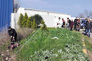 ALİAĞA’DA VAHŞET