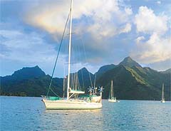 Hayatın sırrını çözen insanların adası Moorea