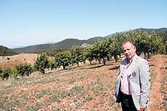 Spil arsalarına büyük ilgi var