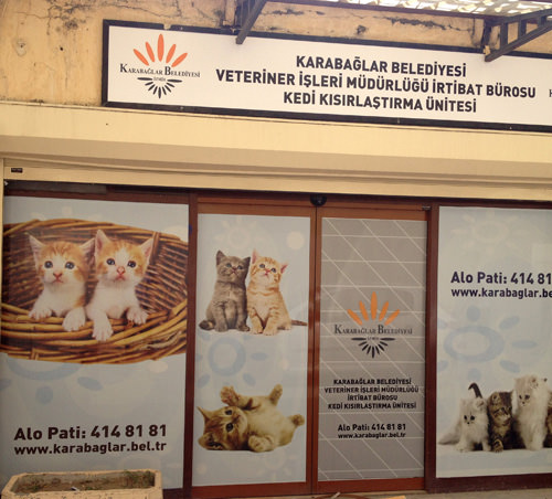 Ugur Mumcu Parki Na Kedi Kisirlastirma Unitesi Kent Haberleri Haberleri