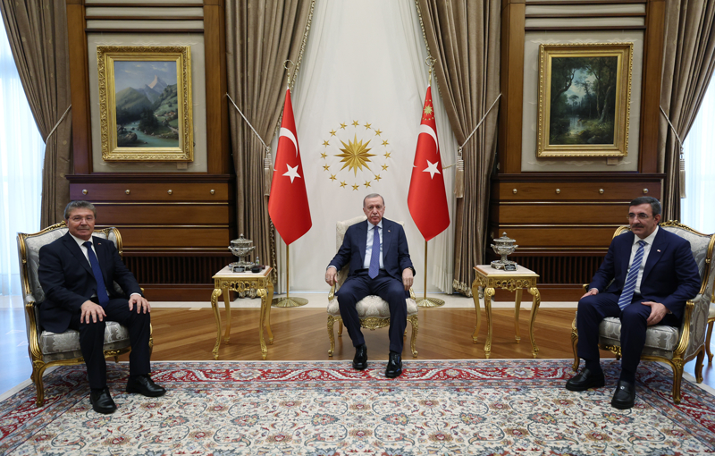 Başkan Erdoğan, KKTC Başbakanı Üstel’i kabul etti