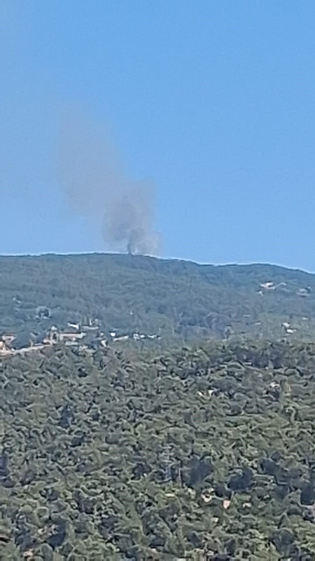 Son dakika: Aydın’da orman yangını! Havadan ve karadan müdahale