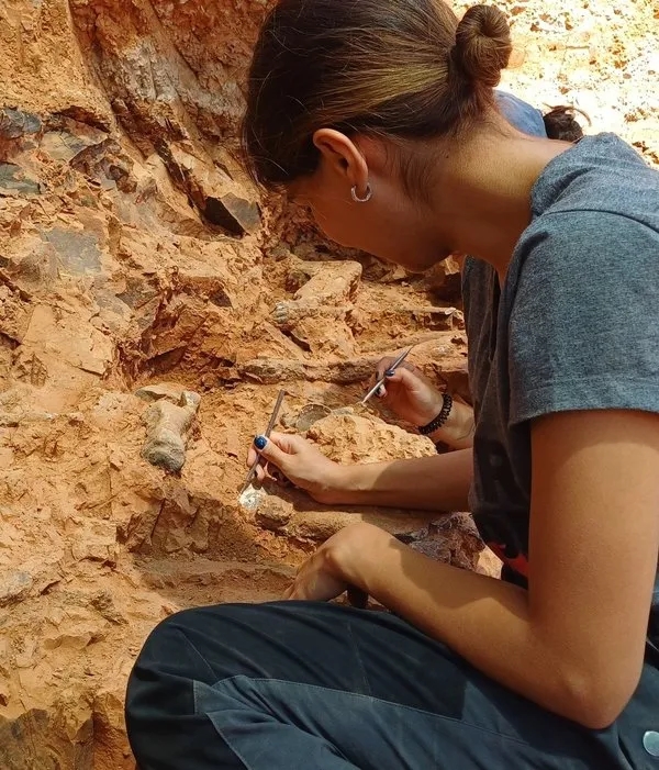 Denizli’deki 9 milyon yıllık fosiller gün yüzüne çıkarılıyor