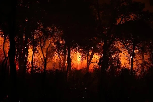 Antalya’da orman yangını: 2 otel tahliye edildi!