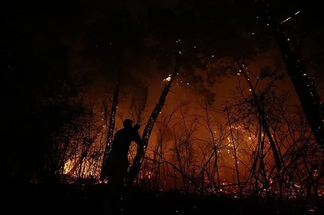 Antalya’da orman yangını: 2 otel tahliye edildi!