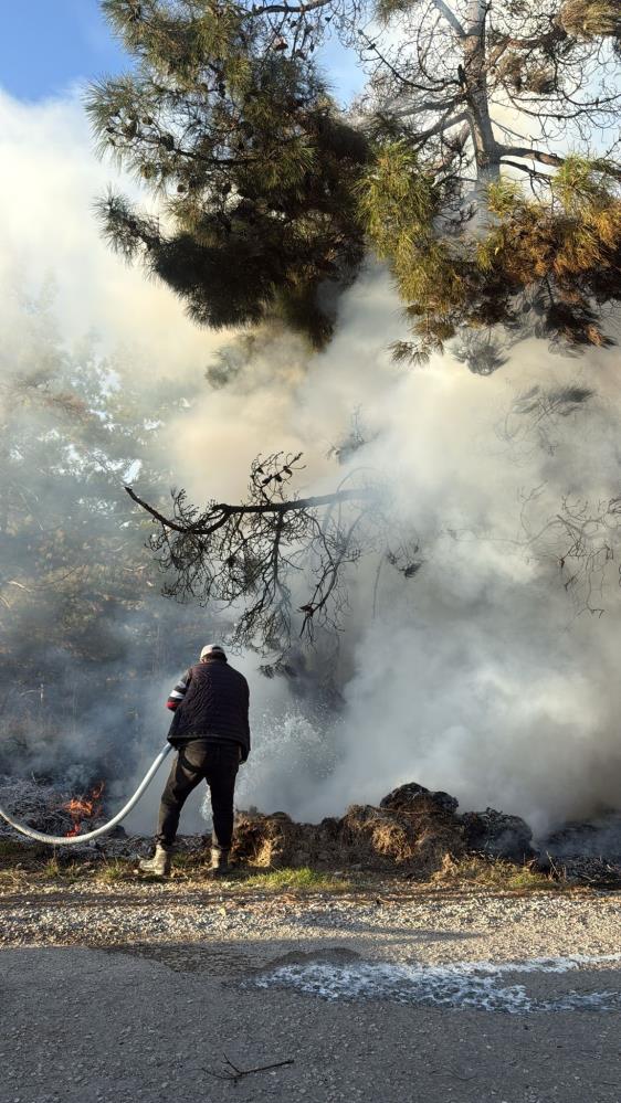 Denizli’de şaşırtan olay! Orman yangınında alevlere sütle müdahale etti