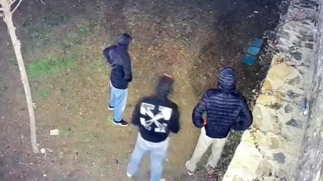 SON DAKİKA... İstanbul Tuzla’daki lüks villada soygun: 12 milyon lira olan ziynet eşyası ile döviz çalan hırsızlar yakalandı!