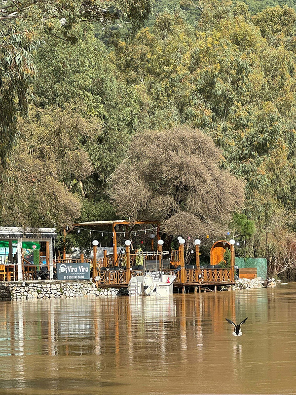 Muğla’da Berrak maviden çamur kahvesine: ’Sakin Şehir’de denizin rengi değişti
