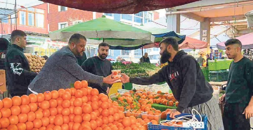 Mobilyacıların site raporu Vali Elban’da