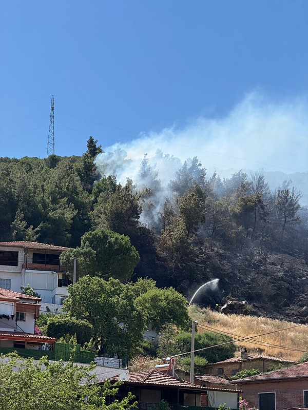 son-dakika-balikesirde-orman-yangini-havadan-ve-karadan-mudahale-1782036005480.jpeg