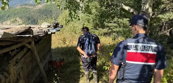 1790919333321.png