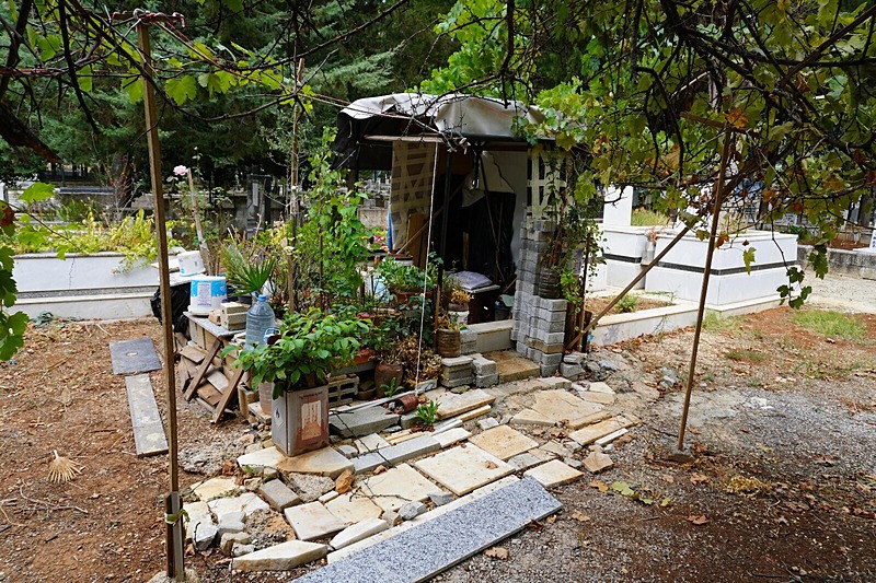 Muğla’da 56 yıllık aşkın ardından yürek burkan vefa: Eşi vefat edince evi mezarlık oldu: Sürekli ona kitap okuyor...